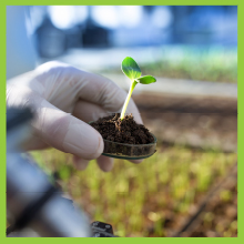 Naturelo, Bone Strength, whole food, multivitamin, Calcium, Vitamin D3, Magnesium, Vitamin C, Zinc