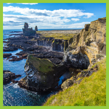 Calcium, Vitamin D3, Magnesium, Vitamin C, Zinc, Magnesium, Vitamin K2, Manganese, Potassium, Boron