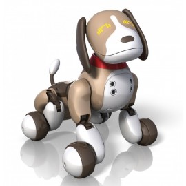 Omnibot Hello - Zoomer