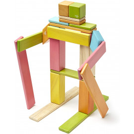 Tegu Magnetic Wood Blocks